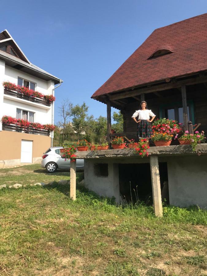 Casa Relax Hotel Văleni Eksteriør billede